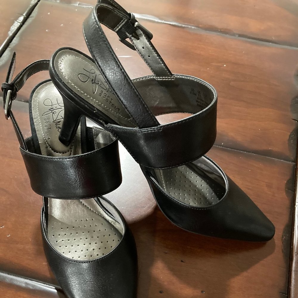 Life Stride Pump